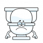 Leaky Loos - a cool alliterative title for a serious problem